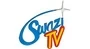 Service Provider To Swazi Tv